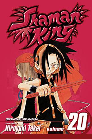Shaman King, Vol. 20: Epilogue (Shaman King #20)