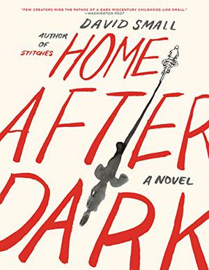 Home After Dark by David Small