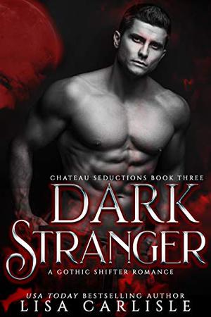Dark Stranger (Chateau Seductions #3)