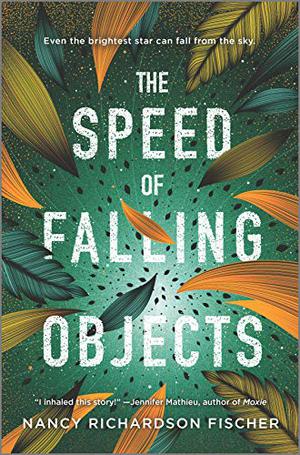 The Speed of Falling Objects by Nan Fischer