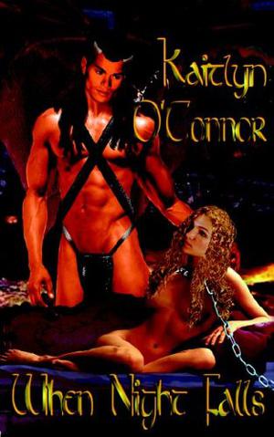 When Night Falls (The Chronicles of Nardyl #2)