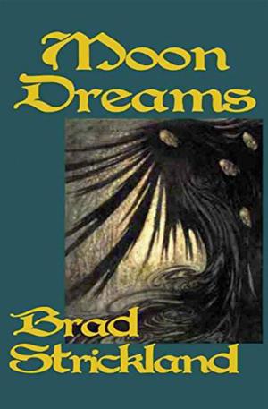 Moon Dreams by Brad Strickland