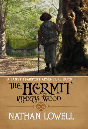 The Hermit of Lammas Wood (Tanyth Fairport #3)