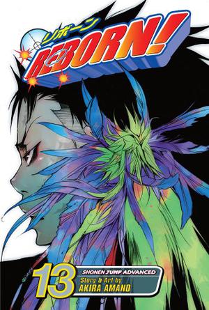 Reborn! Vol. 13: The Mist Guardian Arrives! (Reborn! #13)