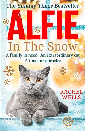 Alfie in the Snow (Alfie #5)