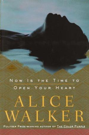 Now Is the Time to Open Your Heart by Alice Walker