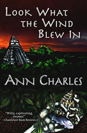 Look What the Wind Blew In (A Dig Site Mystery #1)