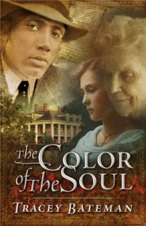 The Color of the Soul by Tracey Bateman, Mirron Willis