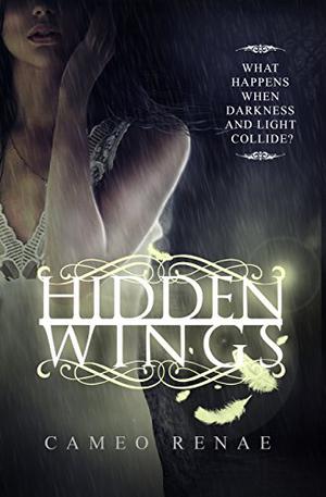 Hidden Wings (Hidden Wings #1)