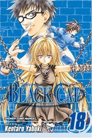 Black Cat, Vol. 18: Guiding Light (Black Cat #18)