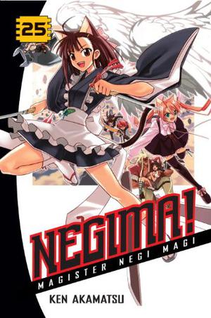 Negima! Magister Negi Magi, Vol. 25 (Negima! Magister Negi Magi #25)