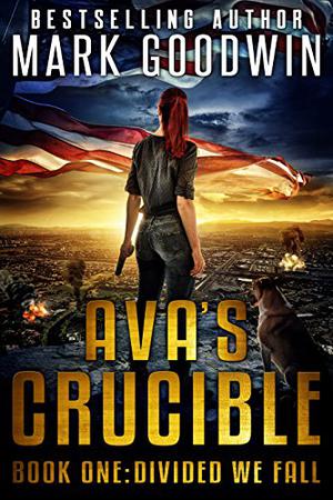 Divided We Fall by Mark Goodwin