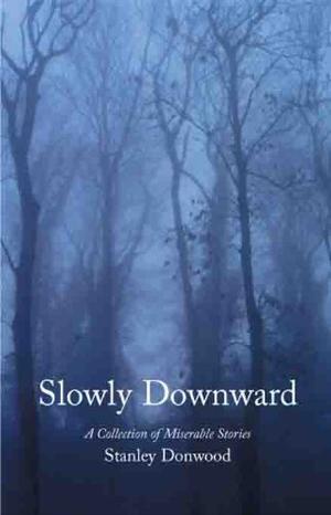Slowly Downward by Stanley Donwood