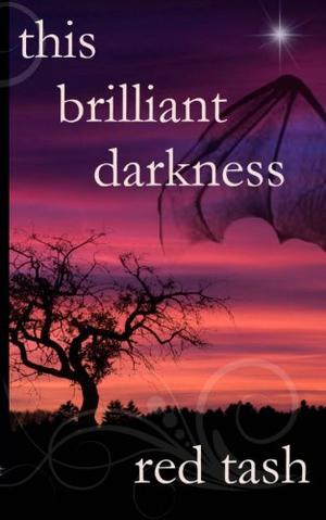 This Brilliant Darkness by Red Tash