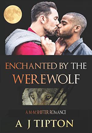 Enchanted by the Werewolf (Werewolves of Singer Valley #2)