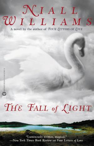The Fall of Light by Niall Williams