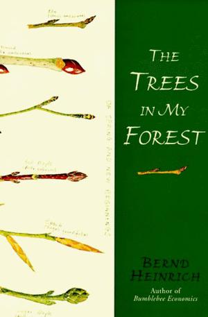 The Trees in My Forest by Bernd Heinrich