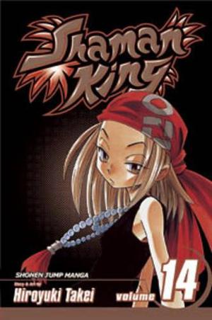 Shaman King, Vol. 14: The Tortured Princess (Shaman King #14)