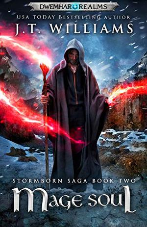Mage Soul by J.T. Williams