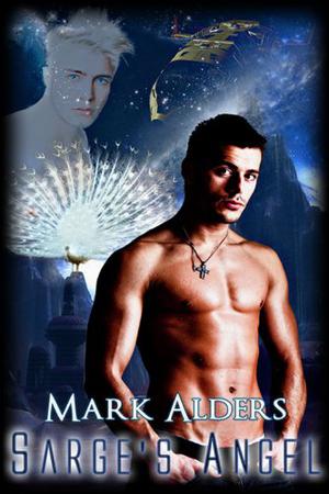 Sarge's Angel (Schism Universe #2)