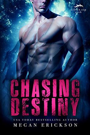 Chasing Destiny (Silver Tip Pack #2)