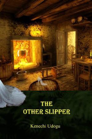 The Other Slipper by Kenechi Udogu