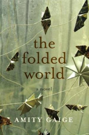 The Folded World by Amity Gaige
