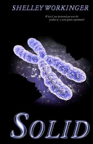 Solid by Shelley Workinger