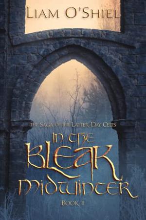 In the Bleak Midwinter by Liam O'Shiel