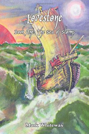 The Sea of Storms by Mark Whiteway