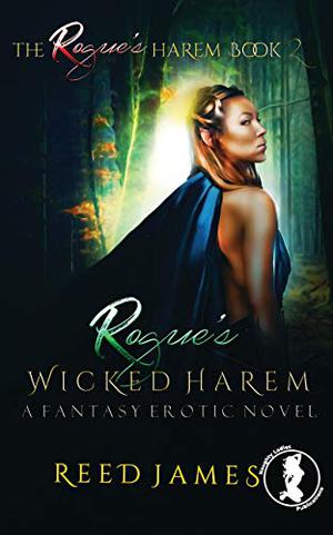 Rogue's Wicked Harem  (The Rogue's Harem Book 2): A Fantasy Erotic Novel (The Rogue's Harem #2)