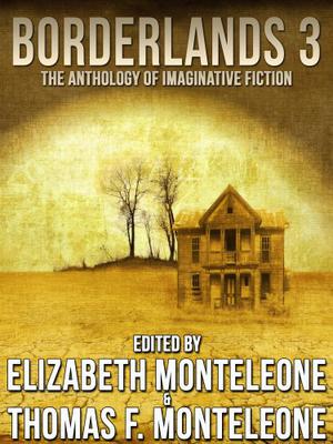 Borderlands 3 by Thomas F. Monteleone, Elizabeth Massie, Ronald Kelly, Kathleen Jurgens, Michael Cassutt, John Edward Ames, Kathe Koja, Lawrence C. Connolly, Marthayn Pelegrimas, David Bischoff, John Maclay, Thomas Tessier, Andrew Vachss, Steve Rasnic Tem, Whitley Strieber, J.J. Comeau, Avram Davidson, John Alfred Taylor, Poppy Z. Brite, Bentley Little, Kristine Kathryn Rusch, Ed Gorman