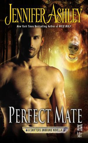 Perfect Mate (Shifters Unbound #4.25)
