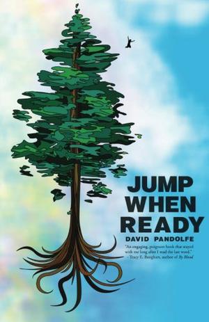 Jump When Ready by David Pandolfe