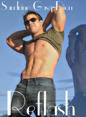 Reflash (Assassin/Shifter #10)