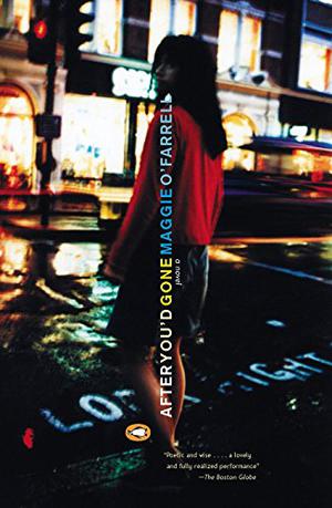 After You'd Gone by Maggie O'Farrell