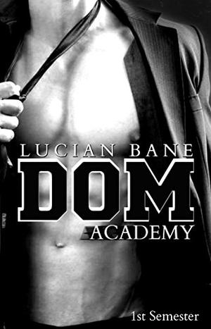 White Knight Dom Academy: The Beginning by Lucian Bane