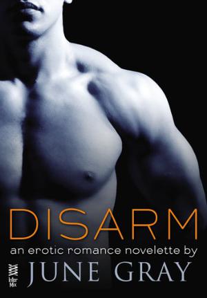 Disarm (Disarm #1)