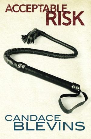 Acceptable Risk (Chattanooga Supernaturals #3)