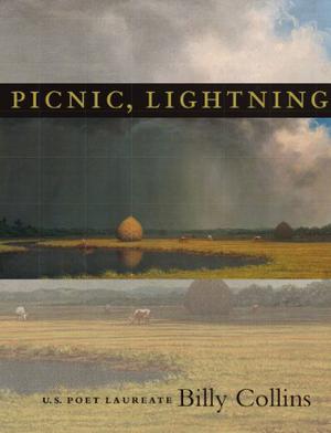 Picnic, Lightning by Billy Collins