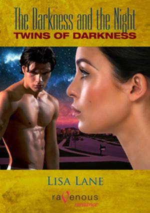 Twins of Darkness (The Darkness and the Night #3)