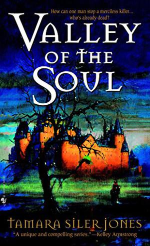 Valley of the Soul (Dubric Bryerly #3)