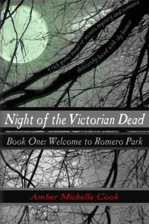 Welcome to Romero Park by Amber Michelle Cook