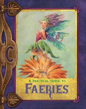 A Practical Guide to Faeries by Susan J. Morris