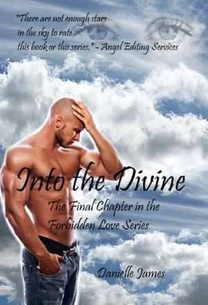 Into the Divine (Forbidden Love #6)