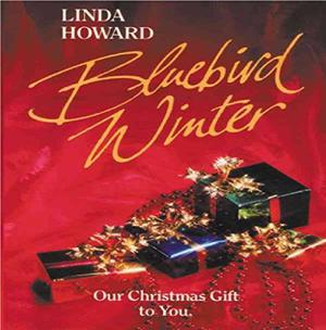 Bluebird Winter (Spencer-Nyle Co #2.5)