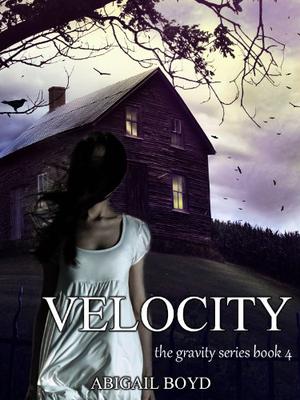 Velocity by Abigail Boyd