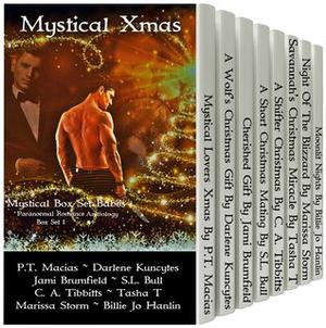 Mystical Xmas: Paranormal Romance Anthology Box Set 1 by P.T. Macias, Darlene M. Kuncytes, Jami Brumfield, S.L. Bull, C.A. Tibbitts, Tasha T., Marissa Storm, Billie Jo Hanlin