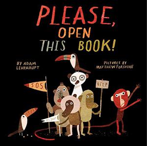 Please, Open This Book! by Adam Lehrhaupt, Matthew Forsythe