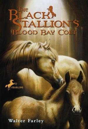 The Black Stallion's Blood Bay Colt (The Black Stallion #6)